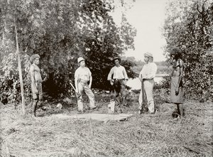 دكتور ستيرلنغ ، رماية التمساح ، نهر دالي بواسطة بول فويلش